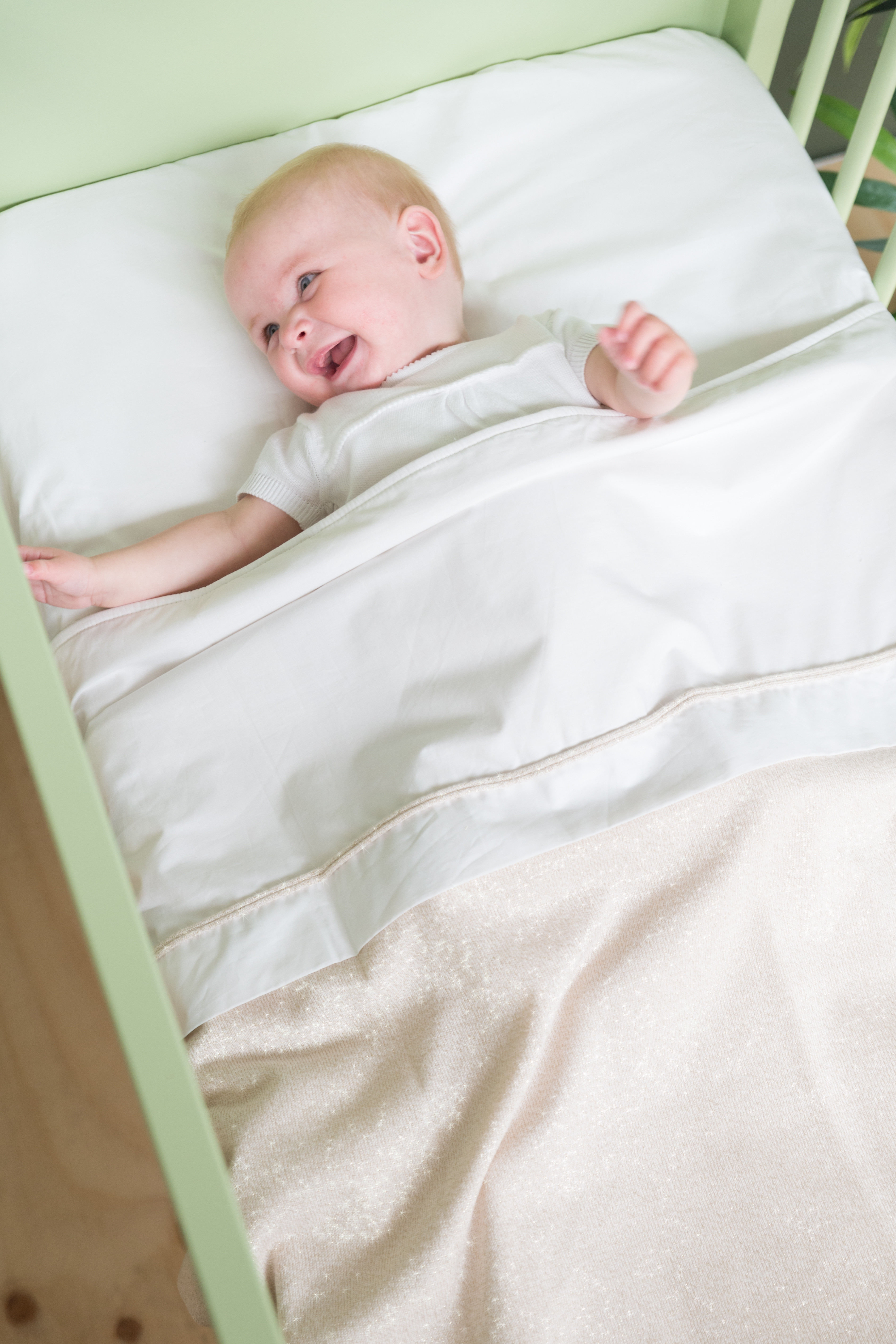 Baby crib blanket teddy Sparkle silver-pink melee